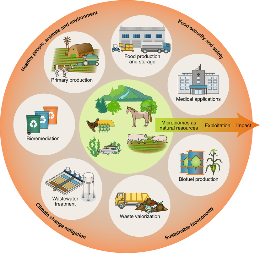 Bioinformatics' Role in Tackling Climate Change and Sustainability